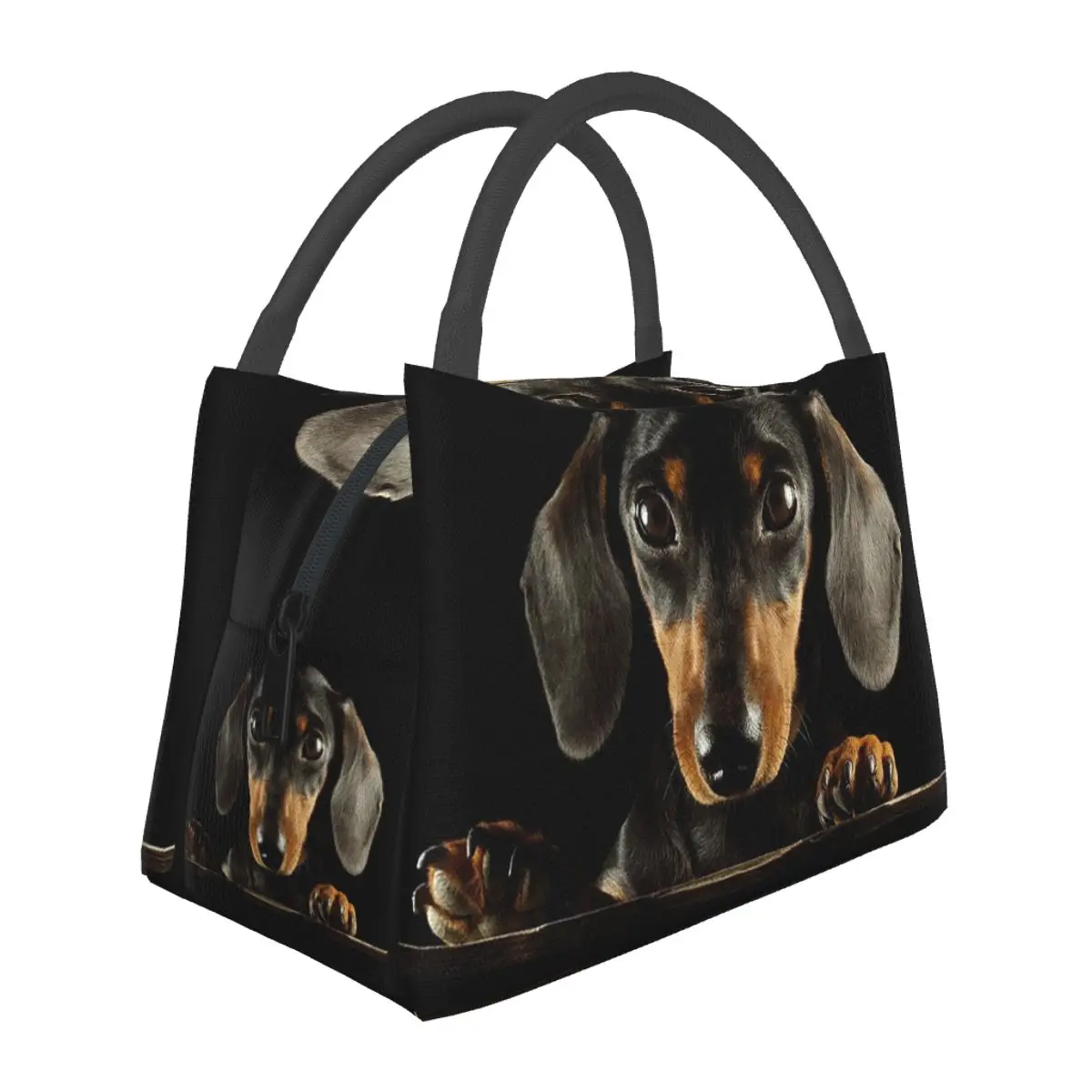 Bolsas de almuerzo para perros Dachshund, caja Bento aislada, bolsa de almuerzo a prueba de fugas, bolsas de Picnic, bolsa térmica más fresca para mujeres y niños, viaje