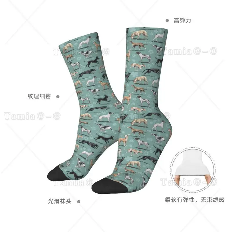 مخصص Kawaii السلوقي الكلب رجل طاقم الجوارب للجنسين أزياء الحيوان الحيوانات الأليفة جرو الربيع الصيف الخريف الشتاء اللباس الجوارب