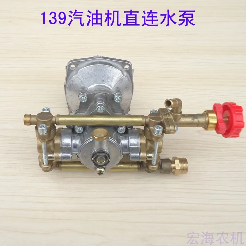 

139 Direct connected water pump Integrated high-pressure water pump Agricultural spray integrated car washing pump