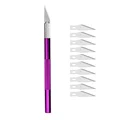 M264PURPLE10pc Blade