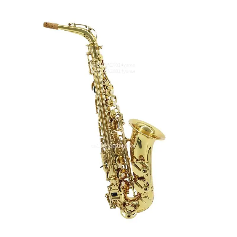 Saxophone Musical Instrument E Flat Alto Wind Instrument Beginner Entry Level Tutorial Chromatic Brass