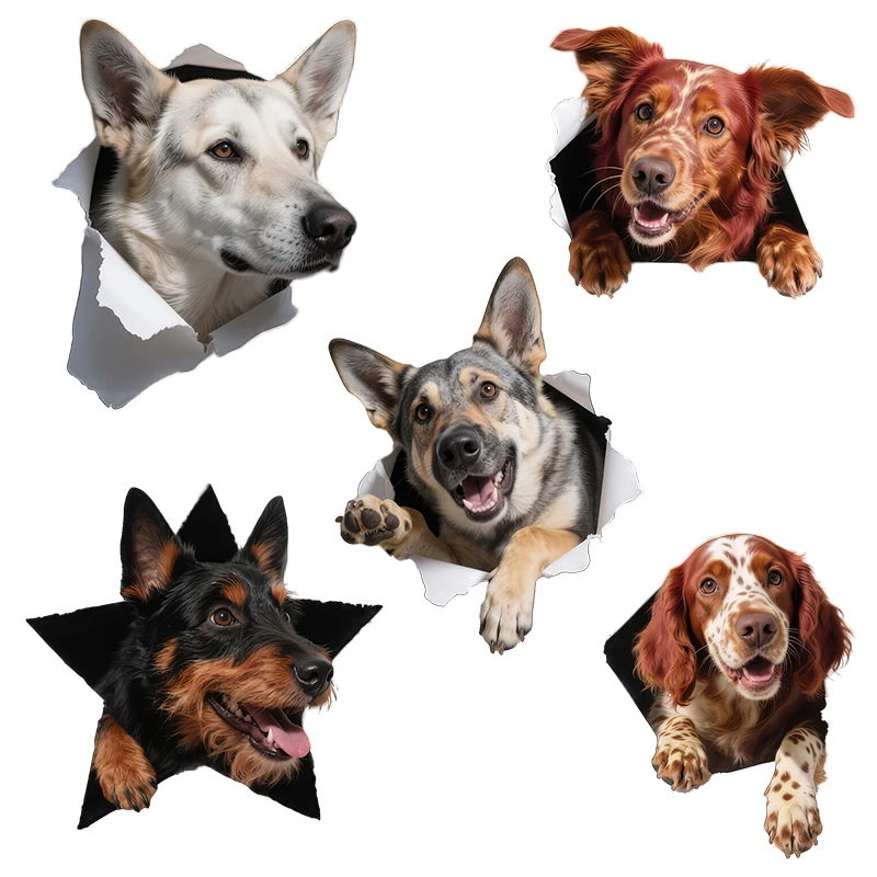 Three Ratels CD67 Funny hunting dog Animal stickers for home decoration pet items decals car stickers