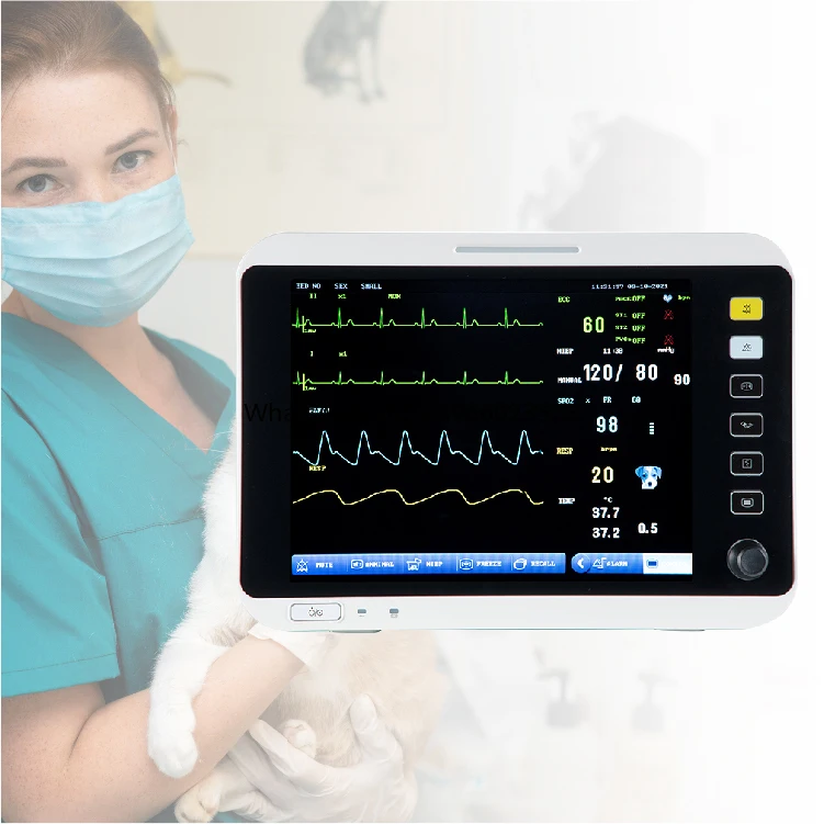 

Co2 Spo2 Pet Hospital Clinic Vital Signs ICU Veterinary Patient Monitor