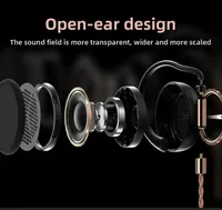 Aune AC55 AC45 Earphones For Professioner Music Hifi Audiophile Earphones Wired Typec Interchangeable Cable Gaming Accessories
