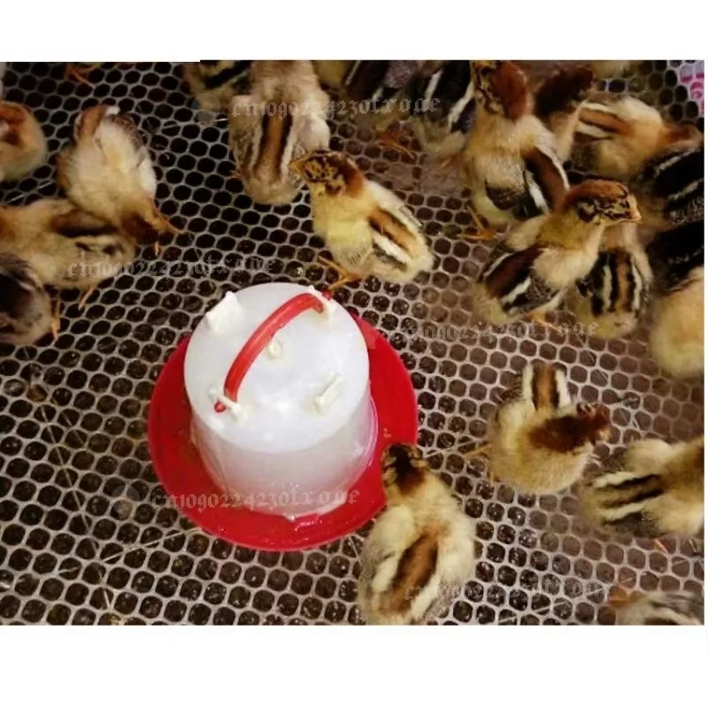 6L/8L/10L Plastic Waterer| Automatic Drinker For Poultry Farm & Chicken Coop