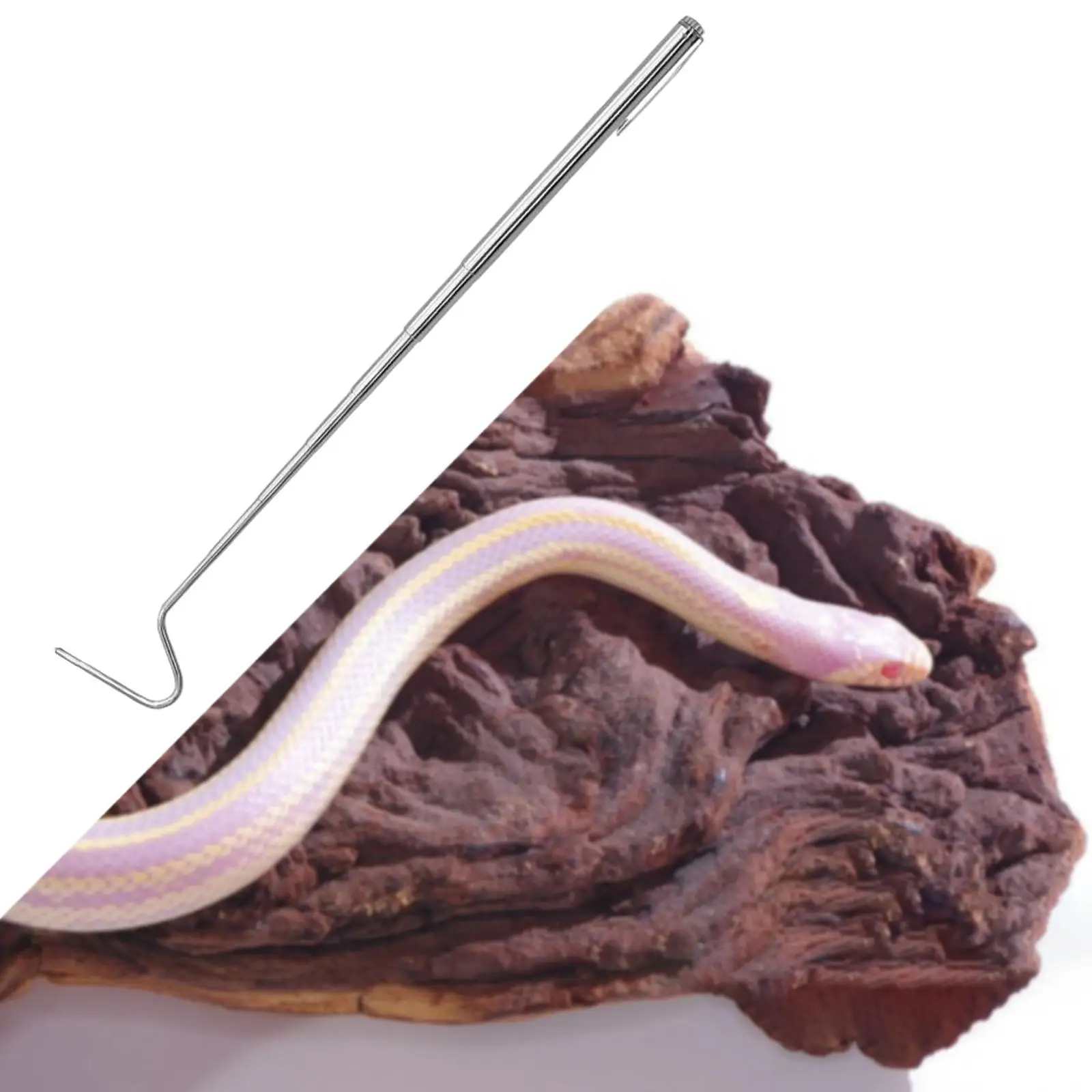 Snake Hook Stainless Steel Handy Snake Accessory Portable Long Reach Tool for Reptile Crawling Equipment