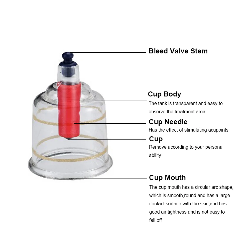 19can Plastic Vacuum Cupping Set Ventosa Professional Ventosaterapia Xicara Chinese Medical Cups Jars Therapy Suction Cup Vacuum