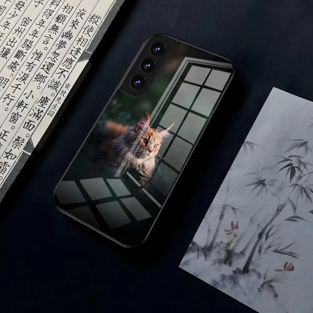 Cute Animal Cat For OPPO A 55 54 One Plus 8T 92s A93s A94 95 8 9 7 Pro FindX3 X5PRO RENO4 RENO7 Reno4se 5F 6Z Glass Cover