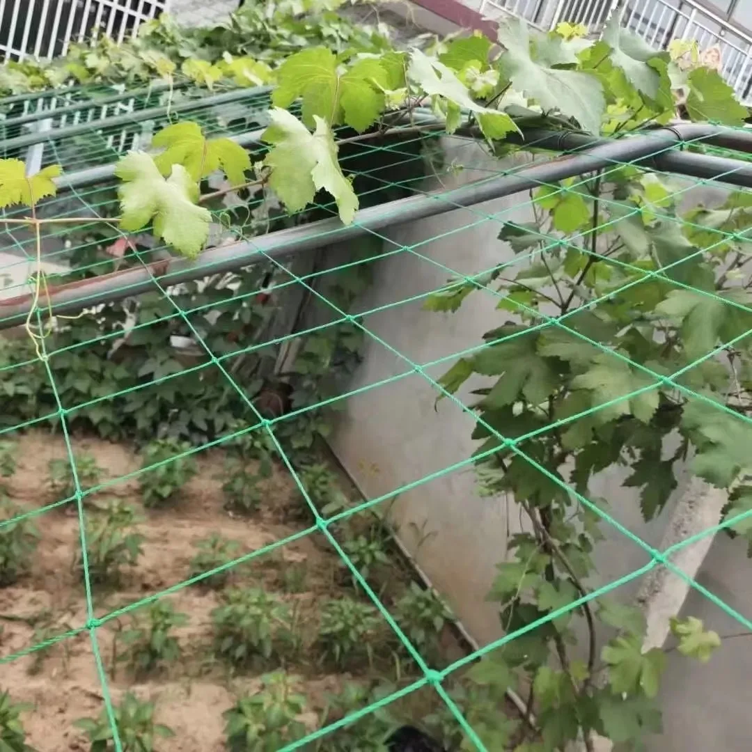 10 * 10cm grid Plant Climbing Net Garden Plant Climbing Vine Frame Net Vegetable Flower Net Garden Weaving Planting Frame