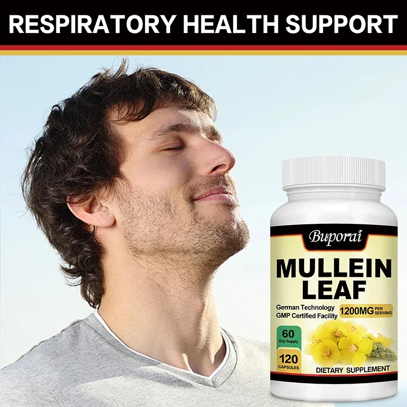 Mullein Leaf - Clean The Lung Protecting The Respiratory System Relieve Phlegm and Cough Immune Support