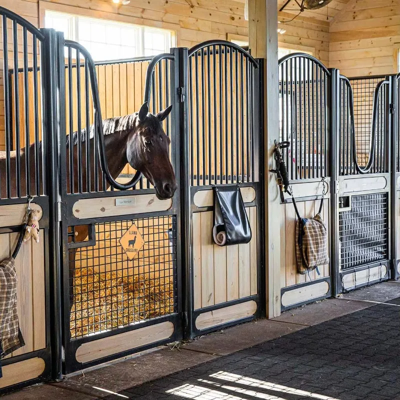 Customization Independent Prefabricated Horse Stable for Outdoor Riding Training Spaces and Long Term Horse Boarding Use Stable