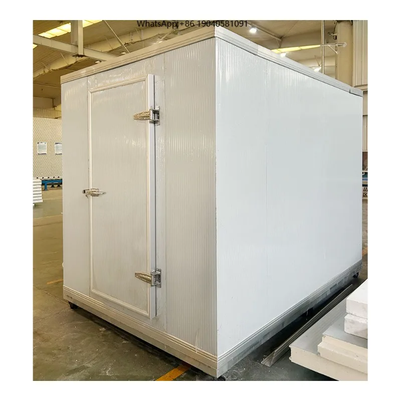 Eco-Friendly High-Accuracy Energy Saving Refrigeration Unit Cold Room Storage Freezer Container Automatic Easy Operate