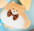 brown pomeranian