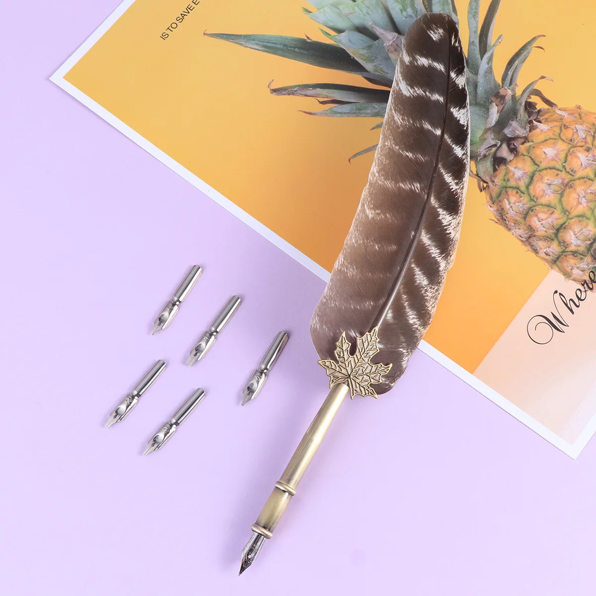 

Beautiful Sign Pen Premium Retro Dip Pen for Store Wedding Party Decoration Asymmetric Real Design Creative Gift