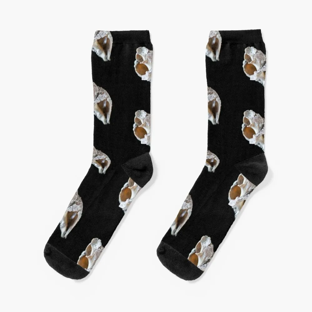 Shell (study 1) Socks Sports soccer anti-slip new in's bright garter Socks Ladies Men's