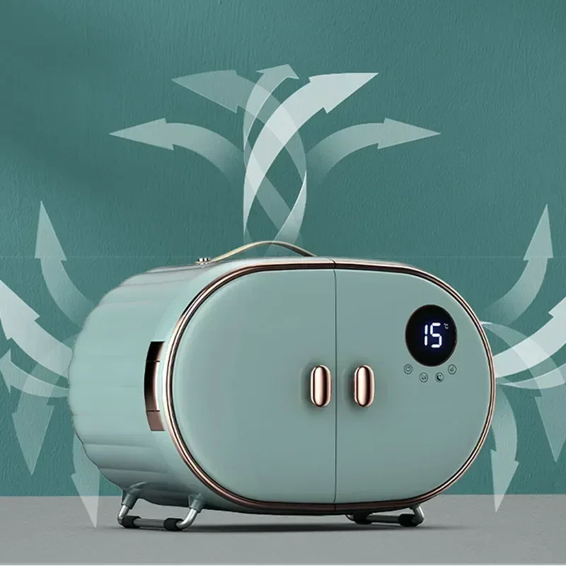 سطح المكتب الكهربائية الجمال الثلاجة سيارة المنزل الاستخدام المزدوج مستحضرات التجميل منتجات العناية بالبشرة ثلاجة صغيرة تخزين قناع تيم ثابت #2