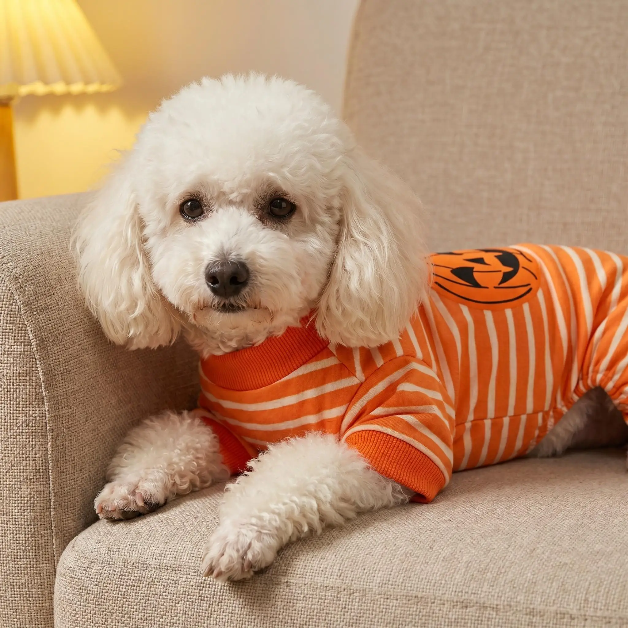 Halloween Orange-Weiß Gestreifter Hunde-Vierbeiner-Anzug Kürbis-Patch Welpen-Bodysuit Einteiler Pyjama Kleidung für Kleine Mittelgroße Hunde Katzen – Detail 6