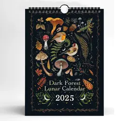 Contains 12 Original Illustrations 2025 Calendar Drawn Throughout The Year Daily Monthly Schedule Wall Calendar