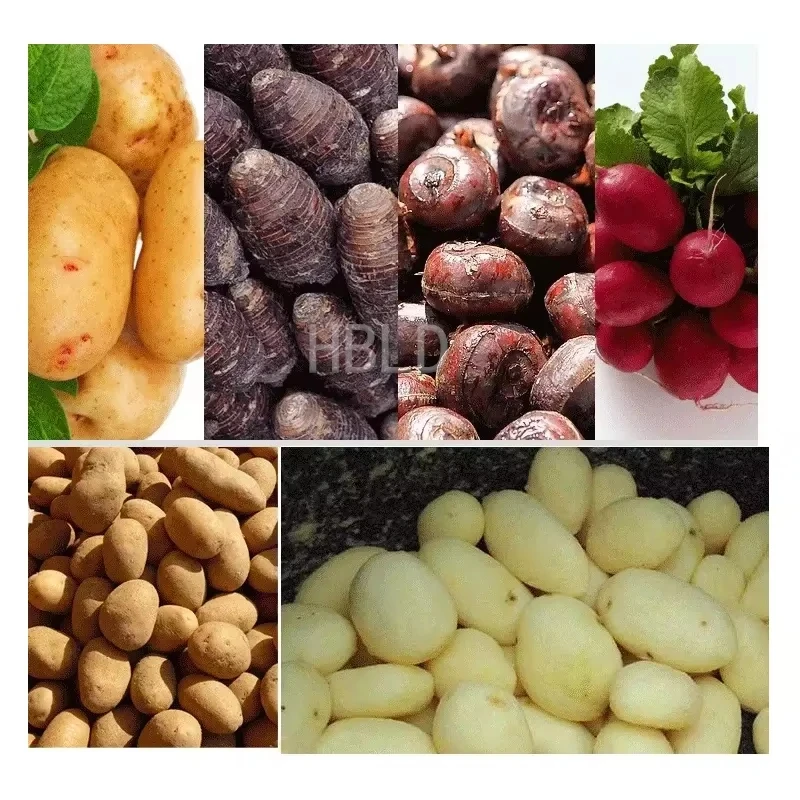 自動電動じゃがいも皮むき機 ステンレス製 業務用 根菜洗浄皮 - Commercial Potato Peeler のレビューと価格
