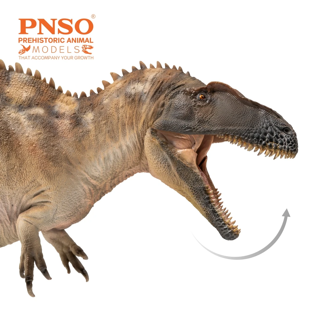 PNSO ไดโนเสาร์ก่อนประวัติศาสตร์รุ่น: 61Fergus The Acrocanthosaurus