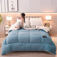 Hot Selling Thickened Winter Milk Fleece Quilt Lamb Fleece Warm Comforter for Single Double Bed Student Warmth Bedding