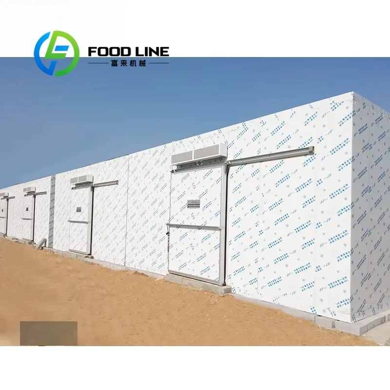 Fixed Walk In Cold Room With Insulated Floor Anti Slip Design For Safe Operation And Easy Cleaning In Cold Room