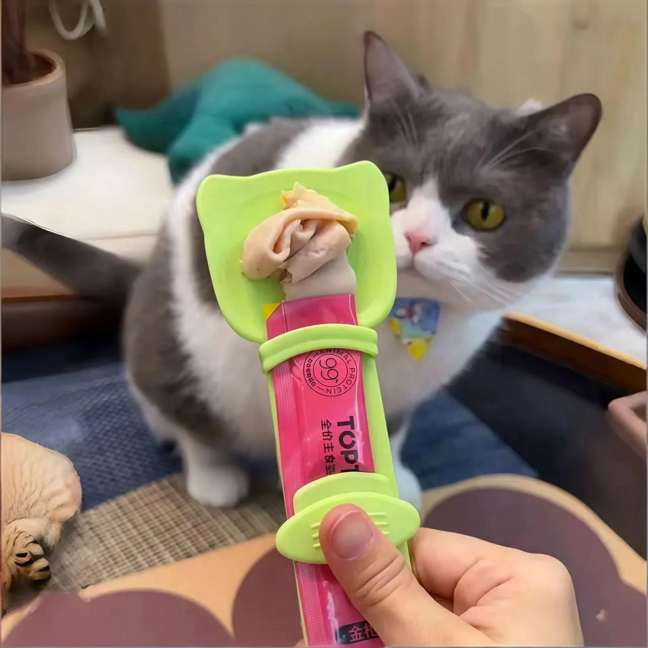 Comedero para Gatos, Cuchara Exprimible para Gatos, Cuchara para Snacks Líquidos para Mascotas, Dispensador de Alimentos Líquidos sin Residuos, Suministros para Mascotas