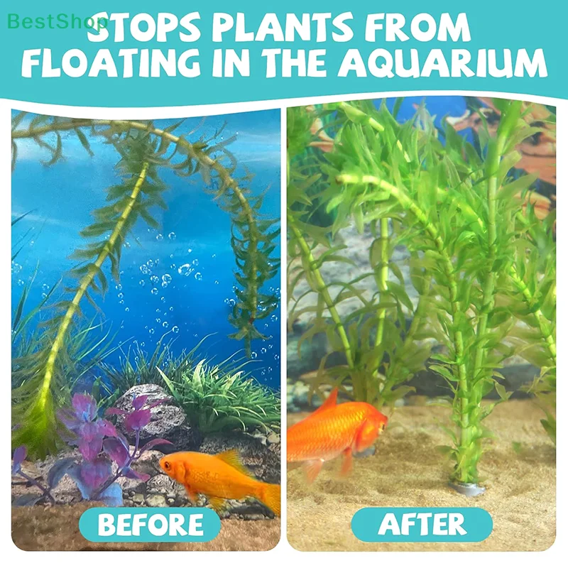 10pcs Flexible Foldable Aquari - Aquarium Planted Fish Tank ulasan dan harga