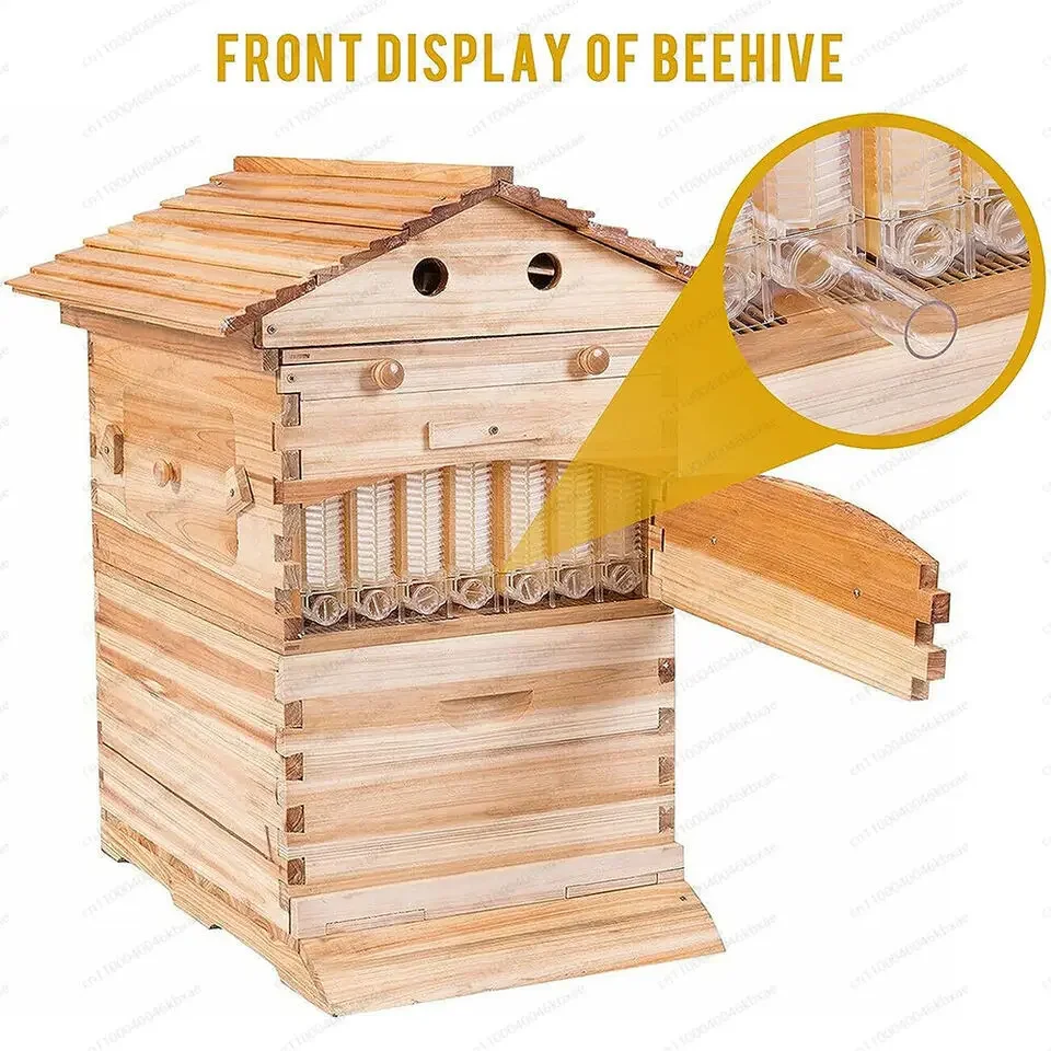 Design Automatic Bee Hive Full Set, Complete Beekeeping System for Easy Harvest & High Yield