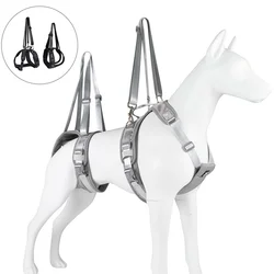Arnés con soporte para perro con patas asistidas, ACL/CCL y artritis