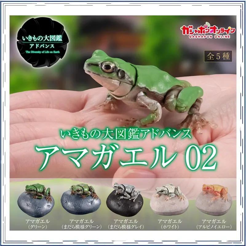 BANDAI Anime Biological Encyclopedia Frog Rhacophorus GASHAPON Christmas Gifts or Collection Genuine Action Figure Model Toys