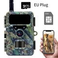 EU Plug-64GB