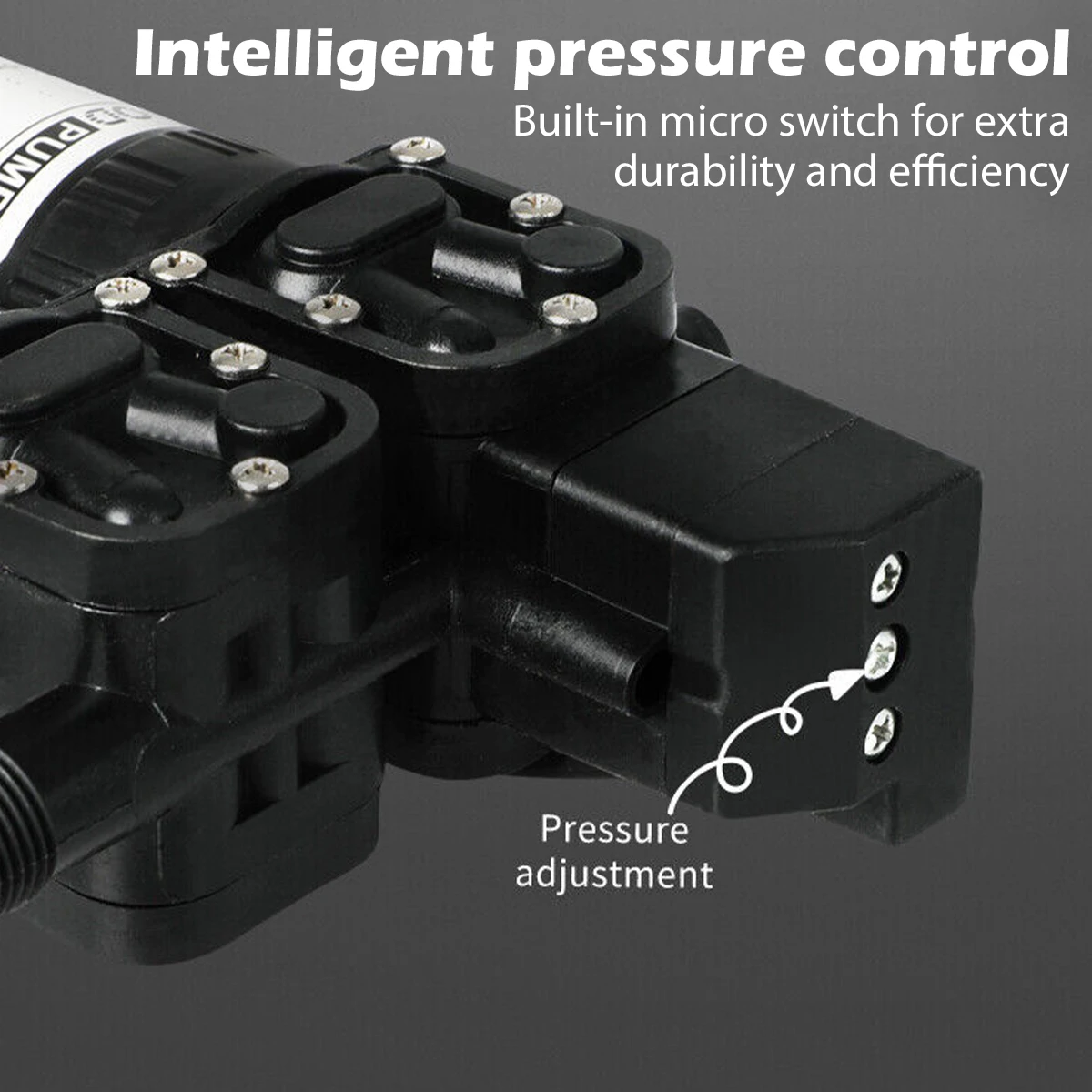 Imagem -05 - Bomba de Água Elétrica Dupla Diafragma Interruptor de Fluxo Automático Pulverizador de Água de Alta Pressão Agrícola dc 12v 100w 160psi 7.5l por Min