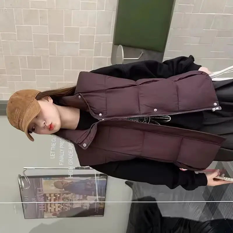 

2026Новый осенне-зимний хлопковый жилет, куртка, женские парки, корейское пальто без рукавов, модный короткий жилет с воротником-стойкой, женское пальто