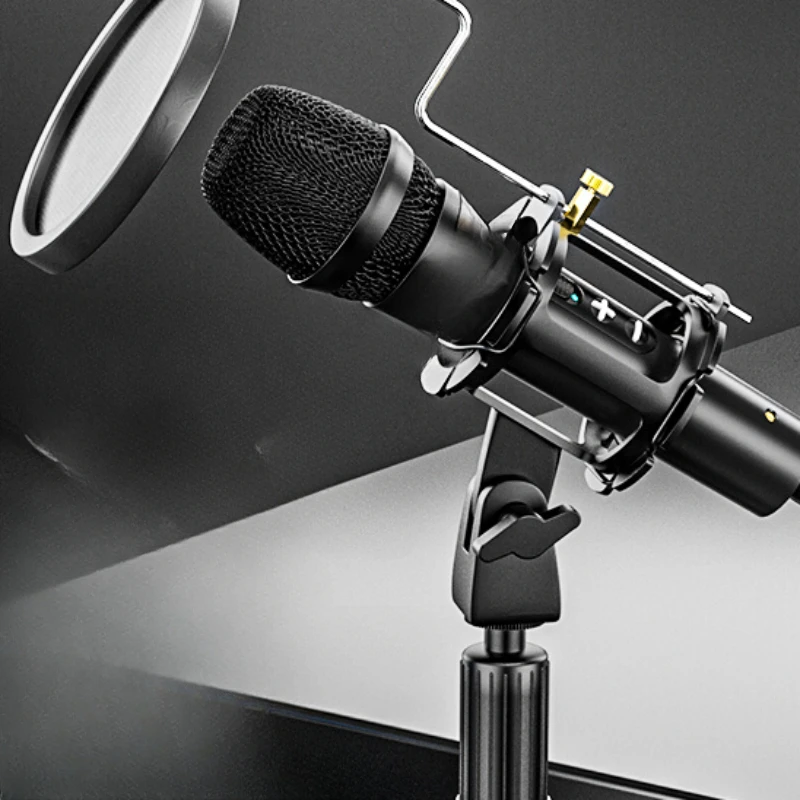 Professional noise reduction, dubbing, and song recording for Shanke microphone recording, Shanke HD300