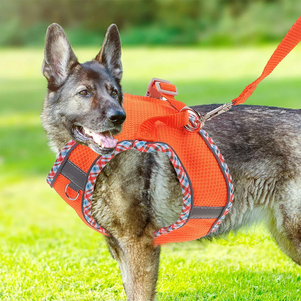 

Convenient Dog Harness Vest Multifunctional Portable Lightweight Reusable Longtime Use for Daily Walking with Pets S