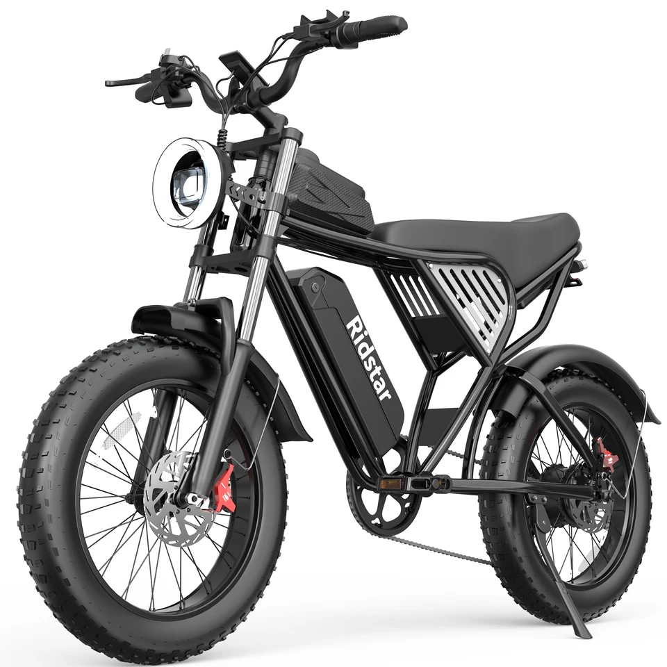 Ridstar Q50-25 2000W Electric Bike for Adults E-Bike 48V 25AH 20" Fat Tire Off-road Electric Dirt Bike Bicycle for Mountains Road Snow