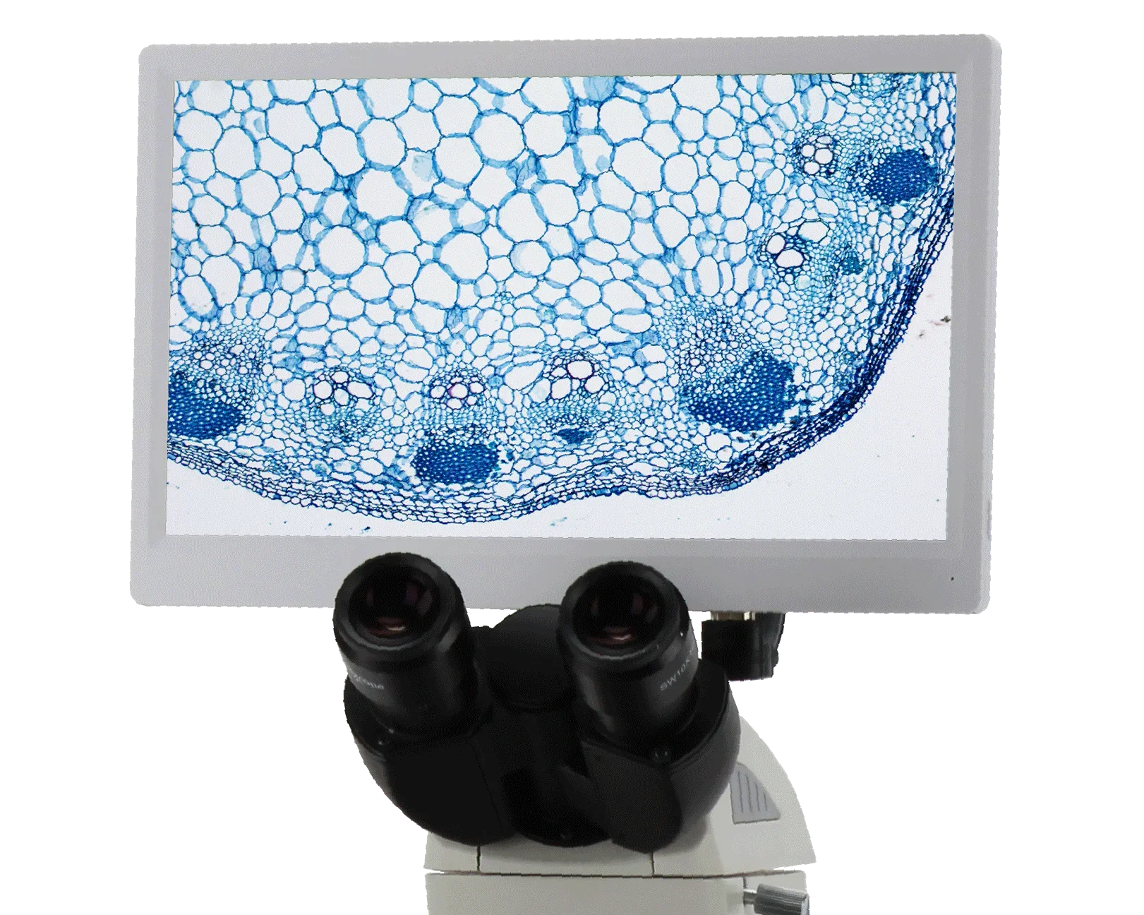 

BLC-250A Highly Cost Effective Reliable HD LCD Digital Microscope Camera