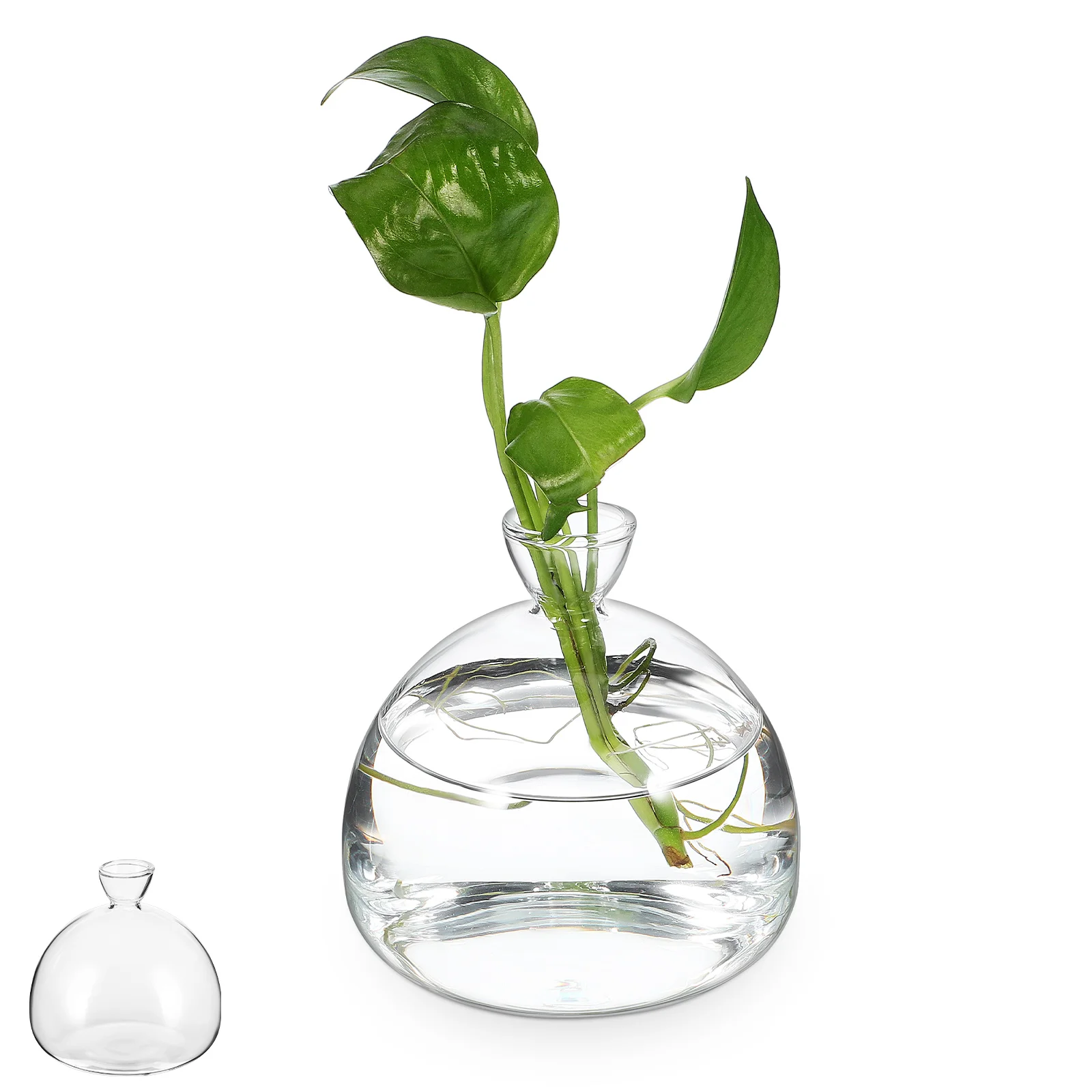 

Flower Vase Glass Planter Container Pot Holders Creative Hydroponic Clear Bohemian Decor