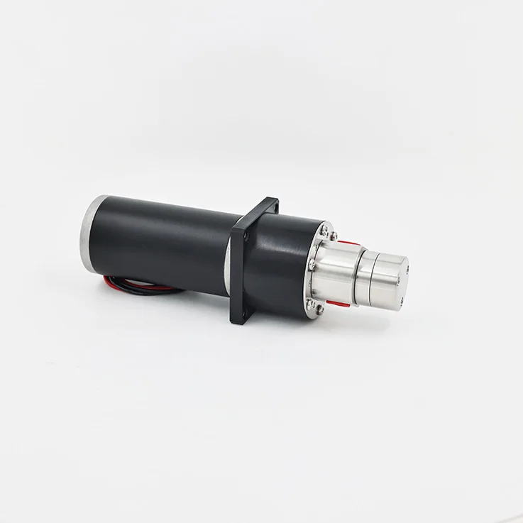 

Магнитный шестеренный насос Революция Регулировка скорости Преобразование частоты переменного тока Насосы для преобразования частоты