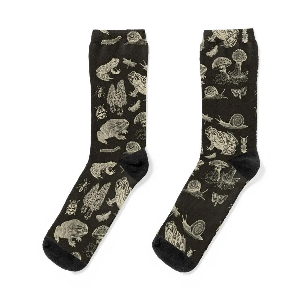 

Goblincore Vintage Biology: Nature Lover's Collection of Frog, Mushroom, Snail, and Moth Insects for Science and Natural H Socks