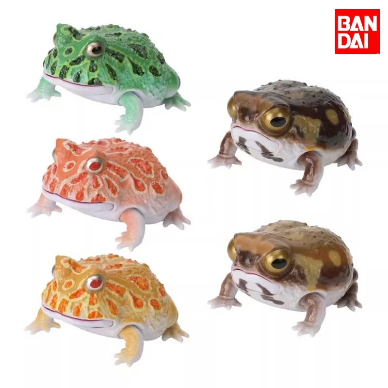 

Bandai Original 5Pcs Gashapon Online Animal Frog Ceratophrys ornata Action Figure Toys For Kids Gift Collectible Model Ornaments