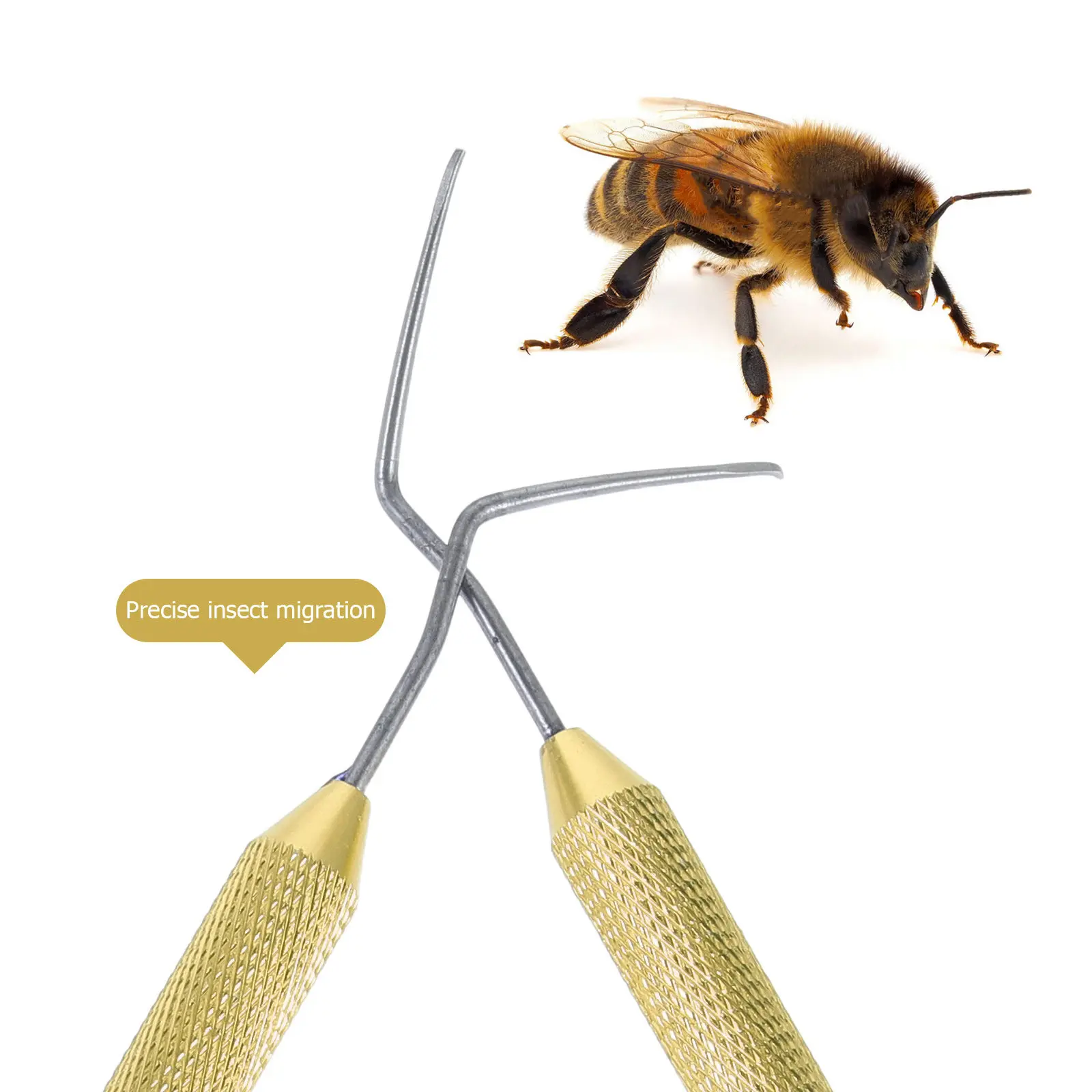2Pcs Bee Grafting Needle Ergonomic Aluminum Handle Precise Queen Rearing Tool Beekeeping Moving Shift Needle Hive Equipment
