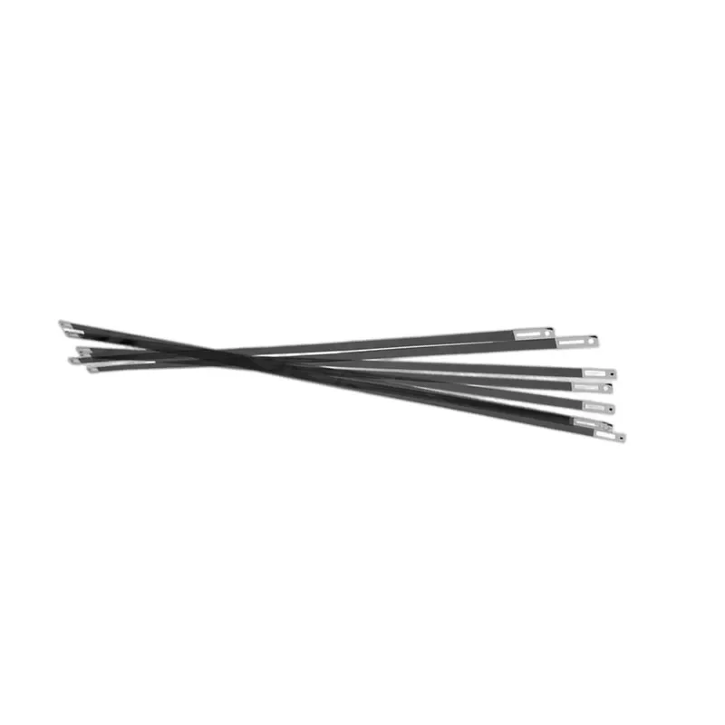 Grating Stripdata Band for Epson L4150 L4160 L5168 L5178 L6166 L6167 L6168 L6176 L6178 L6198 L6158 L3218 Printer Parts