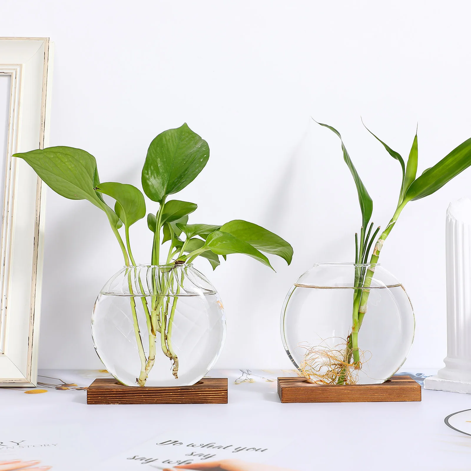 

2 Pcs Glass Planter Hydroponics Vase Creative Flower Pot Vases Desktop Dektop Decorative