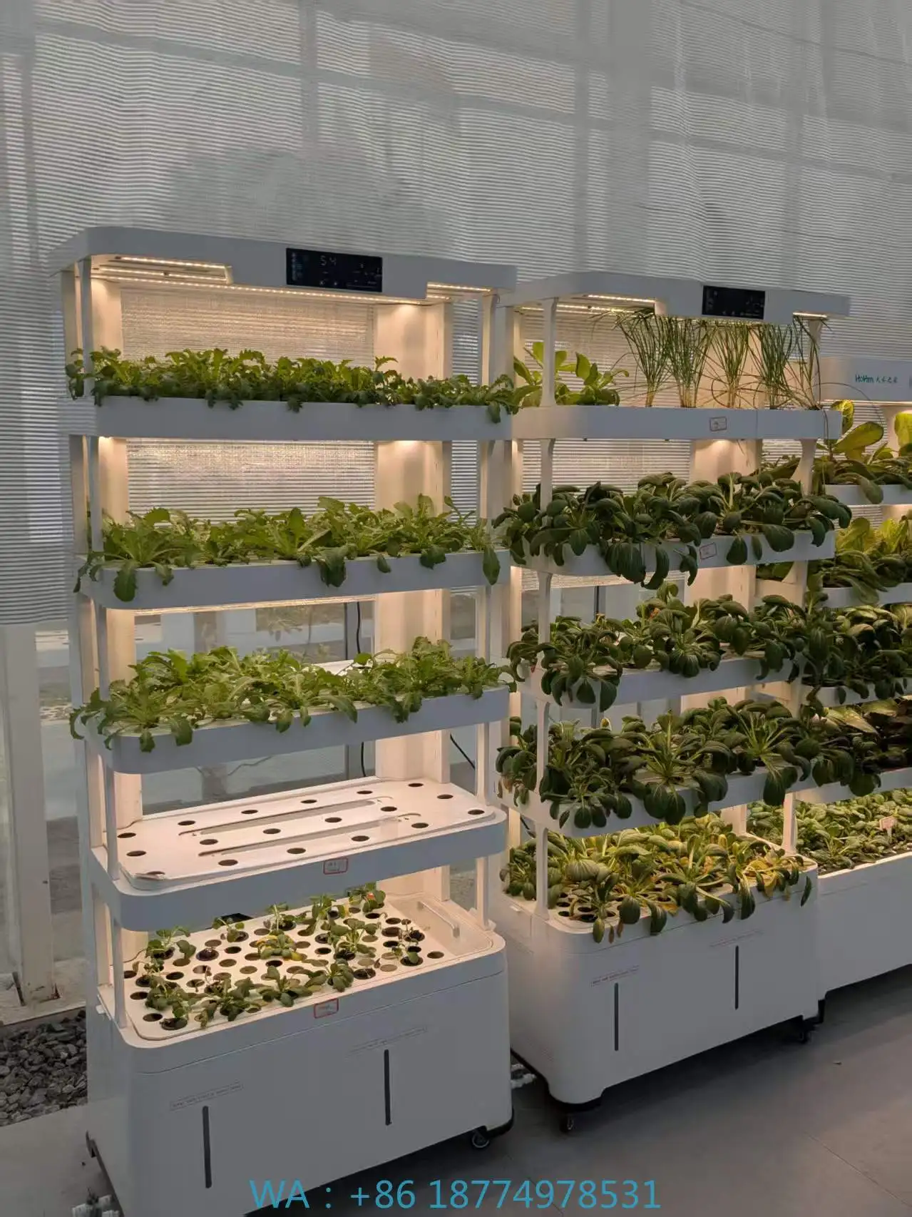 Nt Vertical Farming… - image