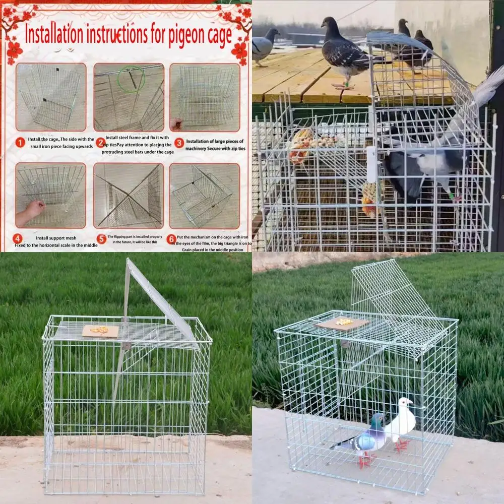 

Клетка для голубей, бытовой автоматический контейнер для падающих птиц, вращающаяся флип-доска для улицы, специальный курятник для голубей на ферме для разведения, голуби