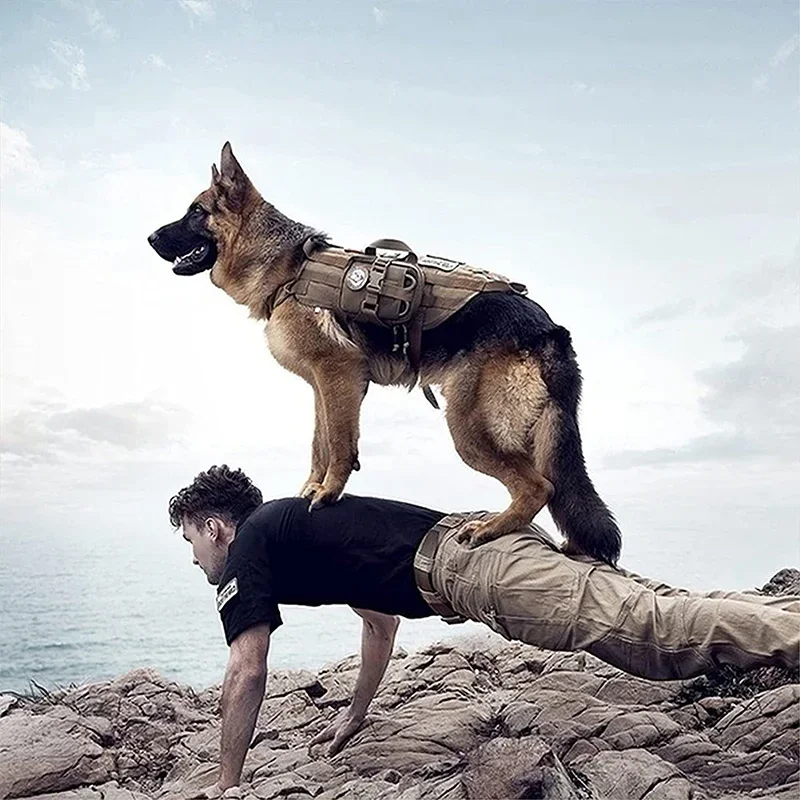 Imagem -06 - Arnês do Cão Tático com Bolsas Alça sem Puxar Confortável Ajustável Serviço de Treinamento ao ar Livre Arnês de Camuflagem k9