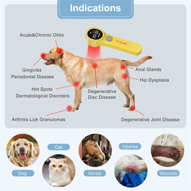 Powerful High Intensity in Laser Acupuncture and Rheumatoid Arthritis Laser Treatment for Arthritis Muscle Strain Sports Injury