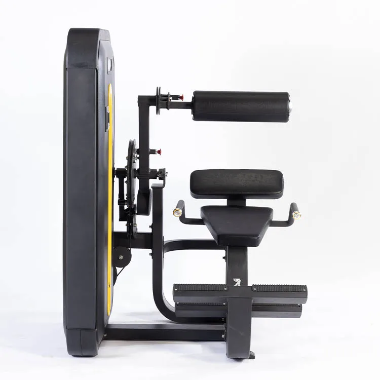 الصين مصنع معدات الصالة الرياضية ASJ-ZM007 المهنية معدات اللياقة البدنية دبوس تحميل تدريب القوة تمديد الظهر